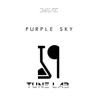 Purple Sky - Single