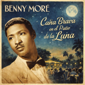Caña Brava en el Patio de la Luna