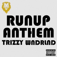 RUNUP ANTHEM (feat. Wndrlnd.) - Single - Trizzy