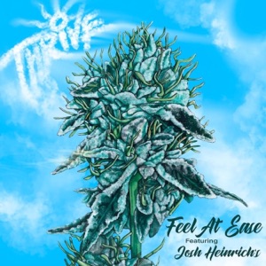 Feel At Ease (feat. Josh Heinrichs) - Single