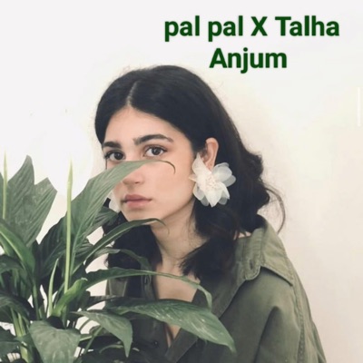 Bushra - Pal pal x talhah anjum
