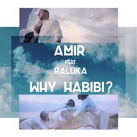 Why Habibi? (feat. Raluka) - Single - Amir