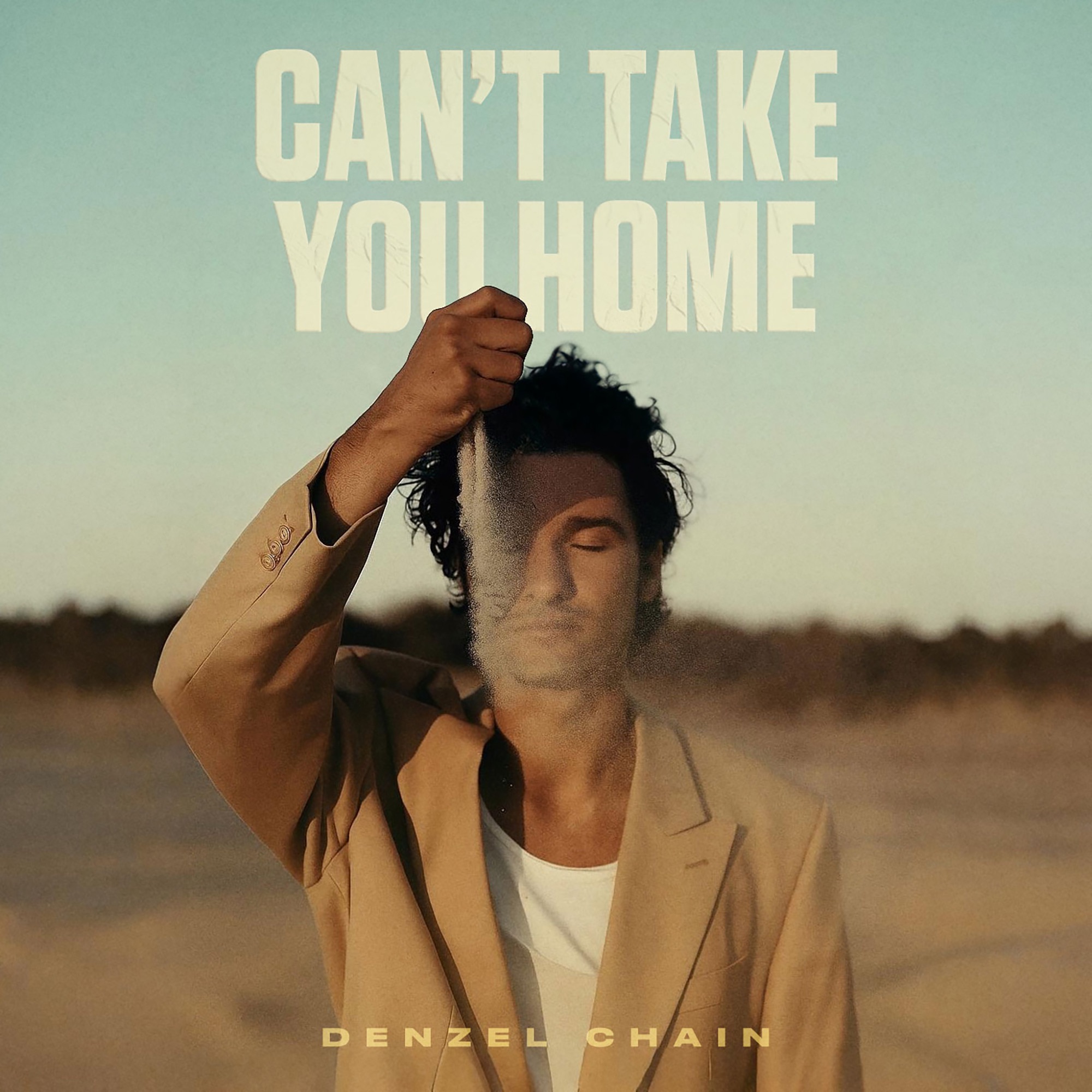 Can't Take You Home - Single