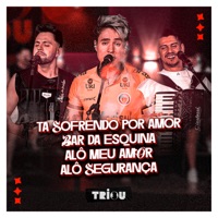 Tá Sofrendo por Amor / Bar da Esquina / Alô Meu Amor / Alô Segurança - Single - Triou