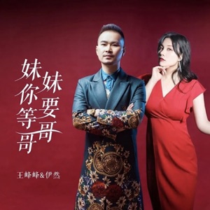 妹妹你要等哥哥 - Single