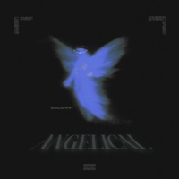 Angelical (feat. Vulture Beatz) - Single - Imaushhh