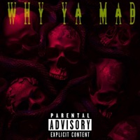 Why Ya Mad - Single - Jae HeNne