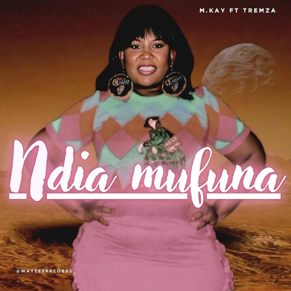 Ndia mufuna (feat. Tremza & wayzee405)