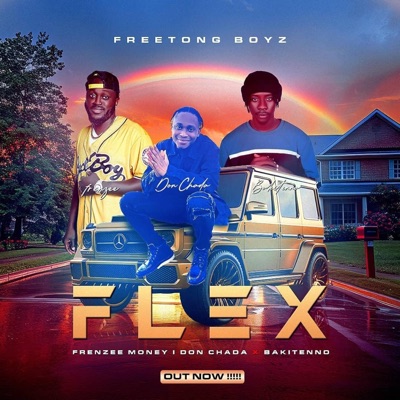 Flex (feat. Bakitenno) - Single