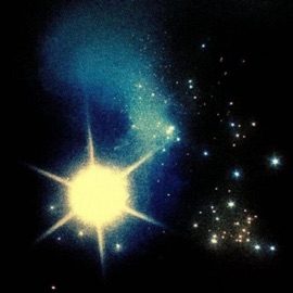 shine sgpwes