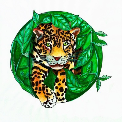 I tram von dem Tog (feat. MATIAS CORDOVA) - Single