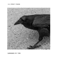 Surrender My Time (feat. Mt. Wolf, Reiny, Slo Loris, German Club Mafia, NTHN, RSAC, Infidelix, Sadistik, AVGOTDRIP & LEX PAIN) - Single - Lil $treet Pigeon