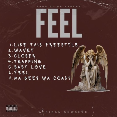 Feel - EP