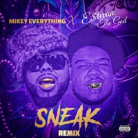 Sneak (feat. Mikey Everything) [Remix] - Single - Estevan, The God