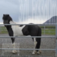 3v1L fr33d0m - Single - Jpdreamthug