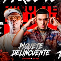 Piquete Delincuente (feat. Jey One) - Single - JeycitoLM