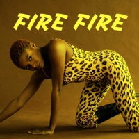 Fire Fire (feat. Fivee Beatz) - Single - DJ Alfire