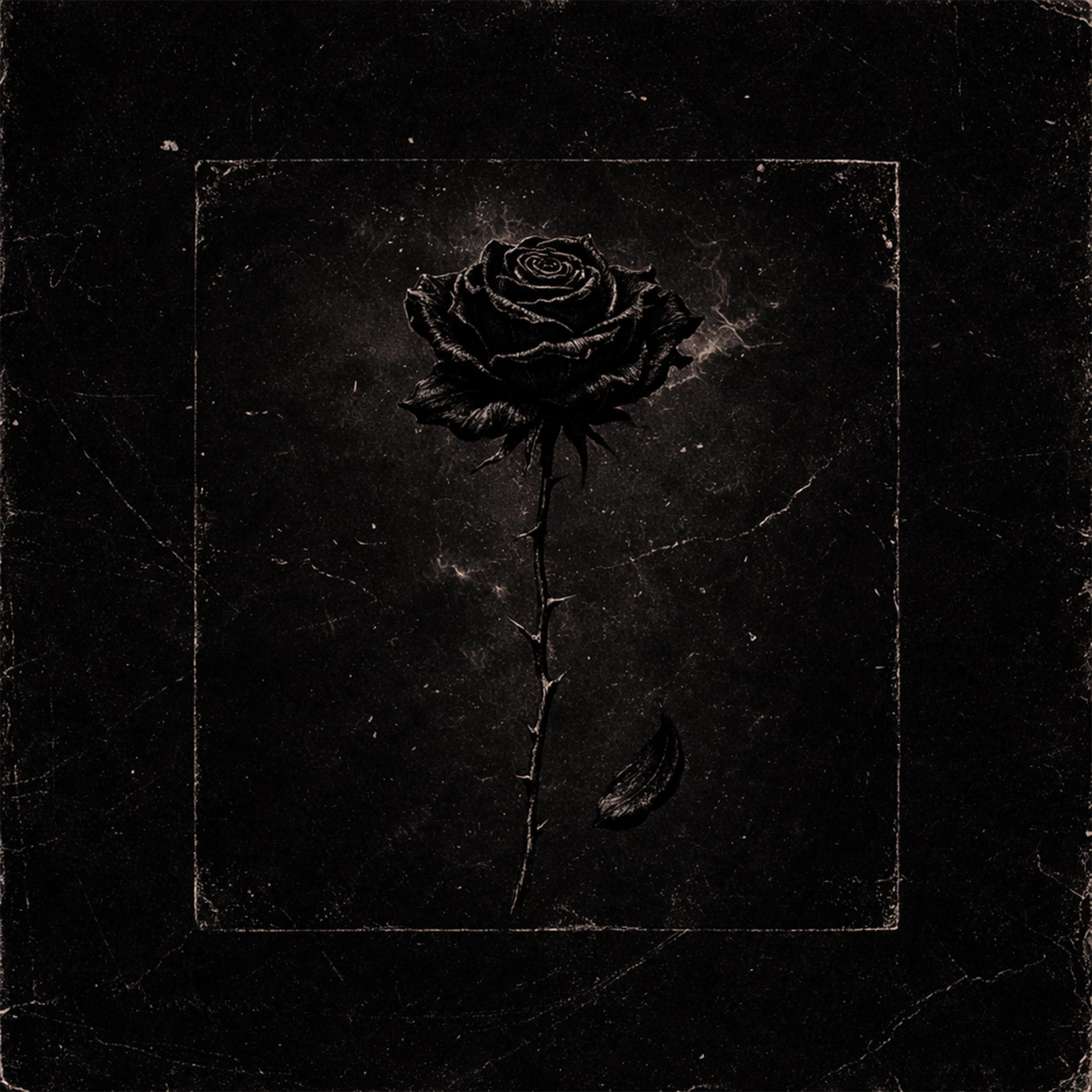 Black Rose - Single