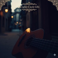 Ben Seni Oyle Sevdim Oyle Sevdimki