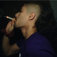 Cats - Single - fakemink