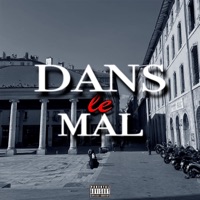 DANS LE MAL (feat. Bené6t) - Single - HDG