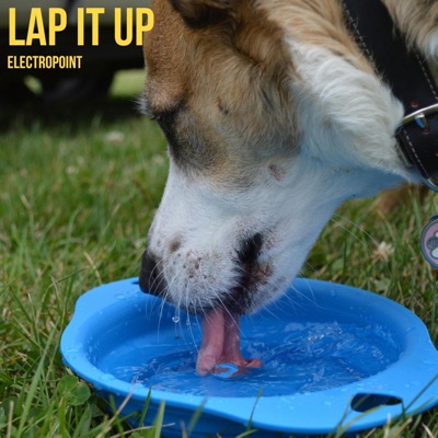 Lap it Up - Single