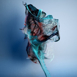 Confusion Of A Lady - Single