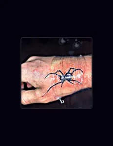 Listen to Lil Khona, watch music videos, read bio, see tour dates & more!