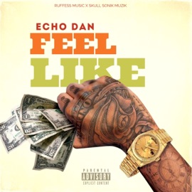 Feel Like Echo Dan