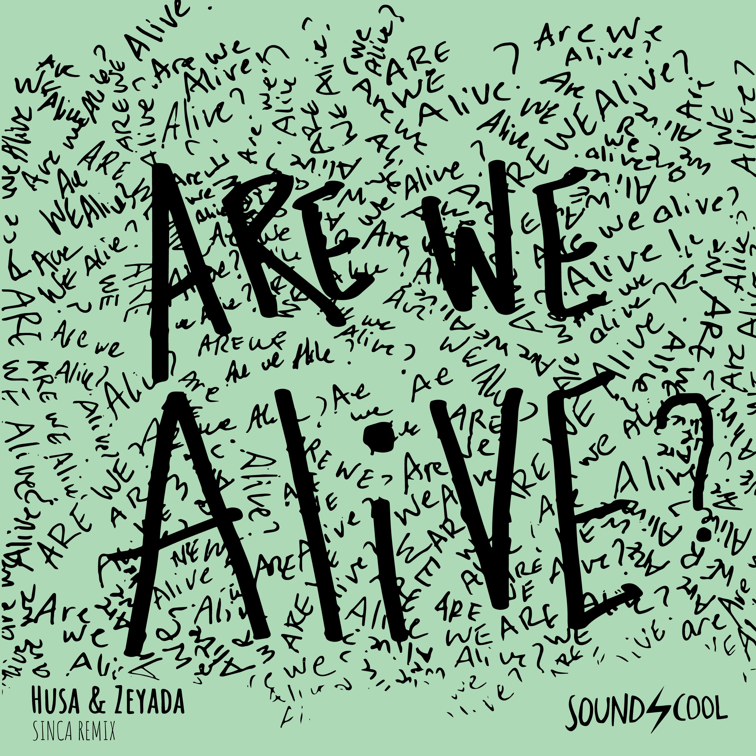 Are We Alive (Sinca Remix) - Single