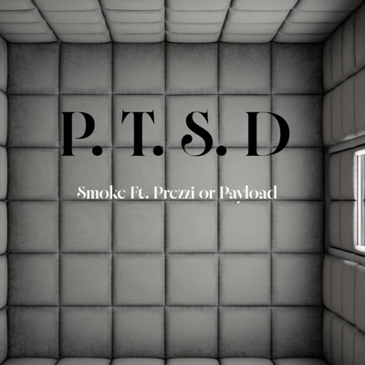 P. T. S.D (feat. Prezzi Or Payload) - Single
