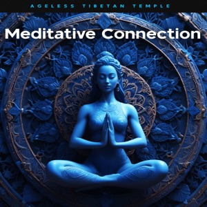 Meditative Connection