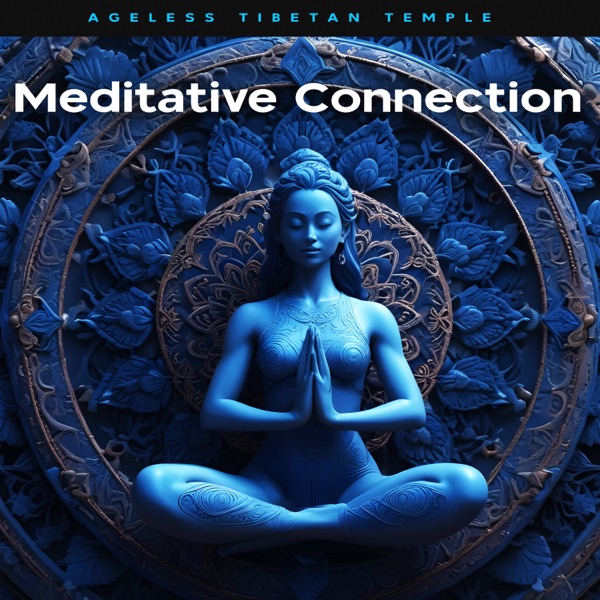 Meditative Connection