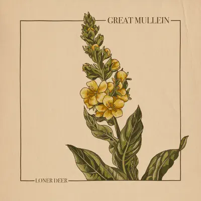 Listen to Great Mullein - EP by Loner Deer