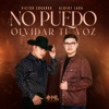 No Puedo Olvidar Tu Voz (En Vivo) - Single