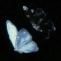 everything comes together in the end (feat. XCUNA) - Single - i've tried