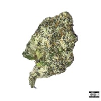 BUST DOWN - Single - until it rains