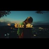 Like Me (feat. Logan Joe) - Single