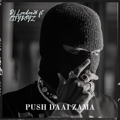 Push Daai Zama (feat. Cityboyz) - Single