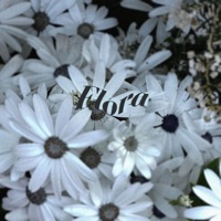 Flora - EP - Music Otaku
