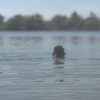 WORK W ME - Single - DAM8