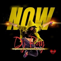 NOW (feat. Gingerbread Jay, Panamami & Ty Dynasty) - Single - Dj Ray