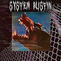 System Bustin - Single - One Take Jake & Donny Brook