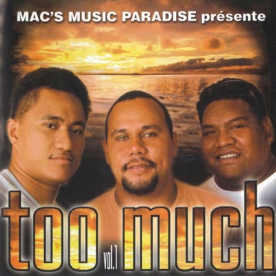 Too Much Vol. 1