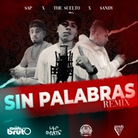 Sin Palabras (sandy Yepez & Sap La Melodía Remix Remix) - Single - The Suelto