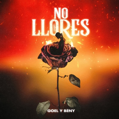 No Llores - Single