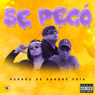 Se Pegó - Perros de Sangre Fría (feat. Boy Zee & Sharingang G & Super A) - Single