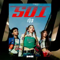 SOI — FLI:P