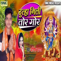 Dulha Mili Tor Gor - Single - Abhishek Sargam