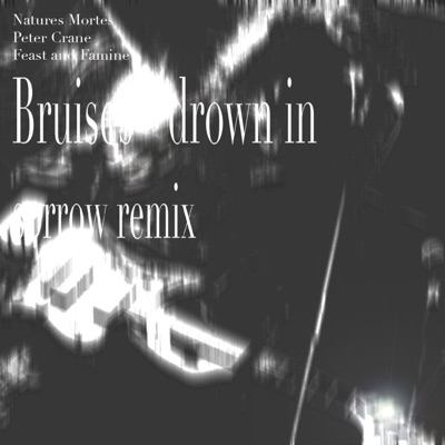 bruises drown in sorrow remix (feat. Natures Mortes & Peter Crane) - Single